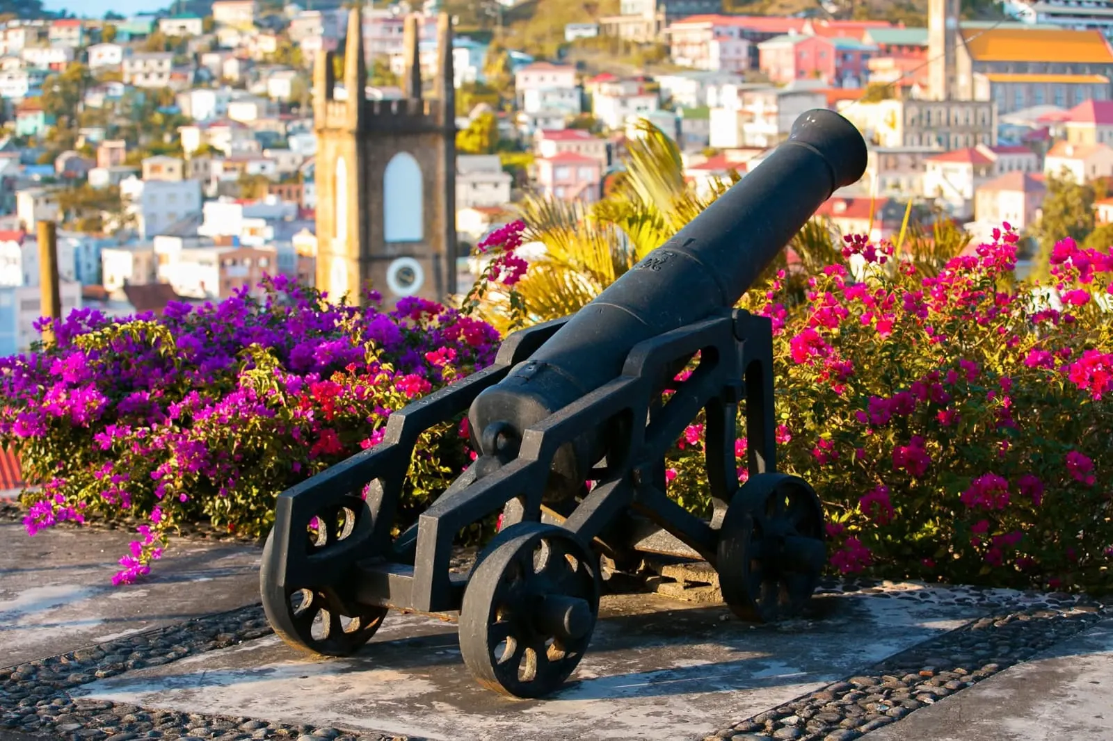 Fort George Cannon