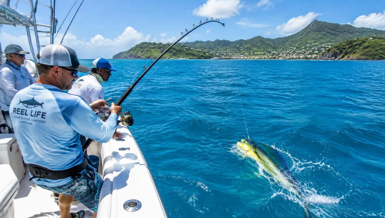 Deep-Sea Fishing Charter